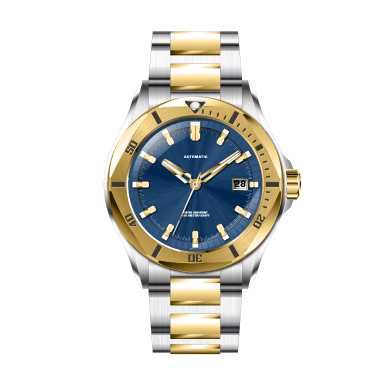 Watch for Men Custom Automatic Mechanical Watch Oem Luxury Watch